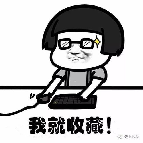 毕节传来好消息跨省通办来了