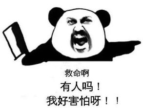 定了今天起正式实行洛阳百万人受影响还有几个坏消息太崩溃