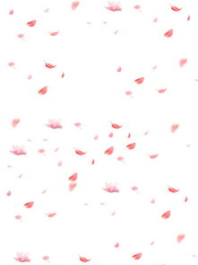 粉色花瓣设计素材免费下载粉色花瓣设计图片千图网平面设计