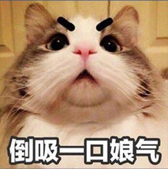 手机里那些最宝贝的表情包,速来收图