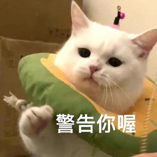 表情包怎样下载沙雕