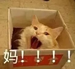 当妈的年度关键字穷丧累胖你是哪个