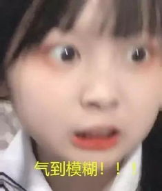 表情包丨今天的表情包都很萌