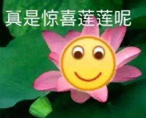 开心一刻运动是一种享受,但我不是贪图享受的人
