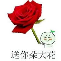 送花的图片表情包