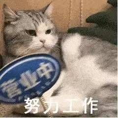 新员工入职半年竟然享受全员持股福利