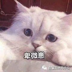 终于查到红中麻将作弊器怎么用,终于知道闲来贵州麻将作弊外挂,凯帝棋牌大厅,万开云棋牌,为什么我一打开斗地主就这