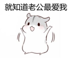 分享一组可爱的小仓鼠超萌小表情来自新浪堆糖,美好生活研究所