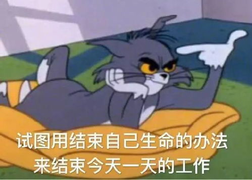 100张热门表情包