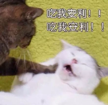 平凉斗图表情包呲牙