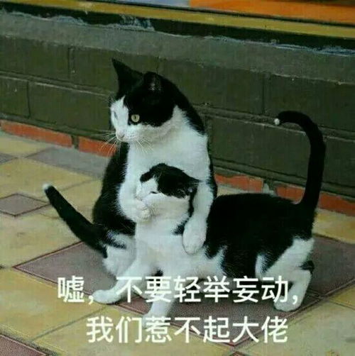 要一起生活四年的一个室友很自私,该怎么面对求解四人宿舍