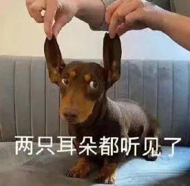 另一种方式说爱你关于恋爱昵称你需要知道的