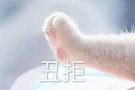 仙女们求安利适合旅游拍照的衣服不妥删