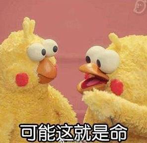 微信悠闲表情包是哪个鹦鹉兄弟