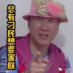 极限挑战表情包黄渤装酷孙红雷发骚罗志祥悲