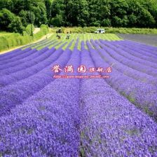 20岁小姑娘过生日送什么礼物好