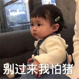 无敌实用沙雕表情包