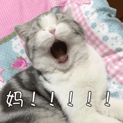 同一个世界同一个妈,同一个套路走天涯逐阆