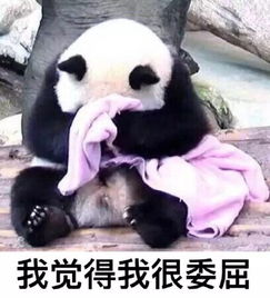 成都突降暴雨大妈将孩子塞进买菜车里拖着走组图