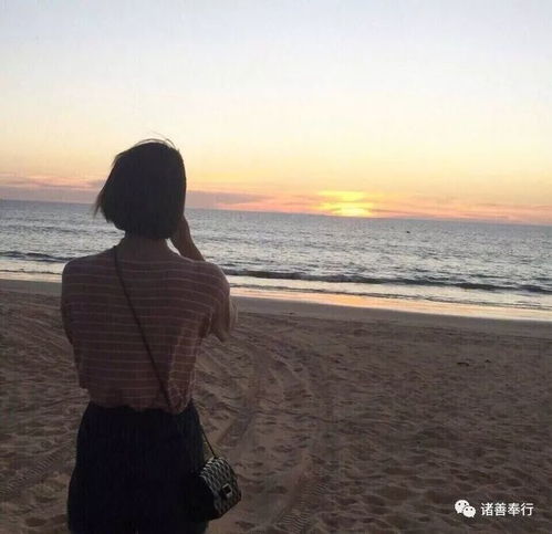 我没有学会聪明