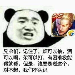 起来吧朕的籽岷表情包发出