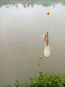 水底是一个未知的世界,钓上来的物件让人很惊喜