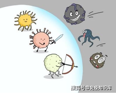 肝癌化疗后并发症怎么办中医辅助治疗,解决化疗后不良反应