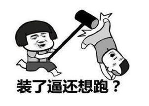 幽默笑话首次去女友家里,wifi自动连上了,岳母小声说