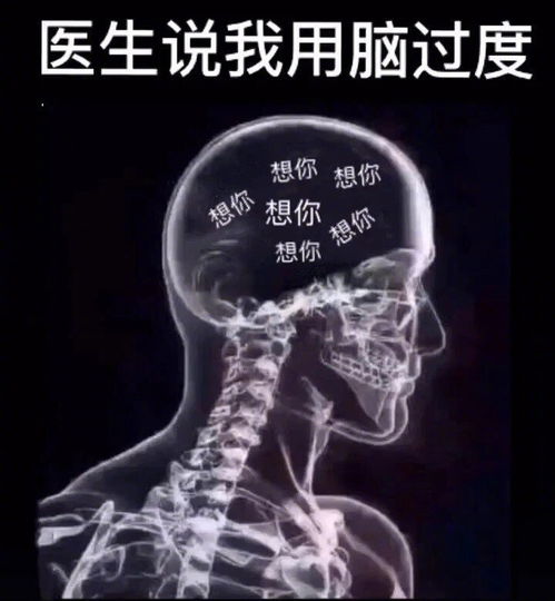 今日份表情包砰砰在左边,你在砰砰里