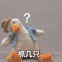 youngjoy小鸡词典1月流行热词播报朱砂痣抓鸭子合成大西瓜...