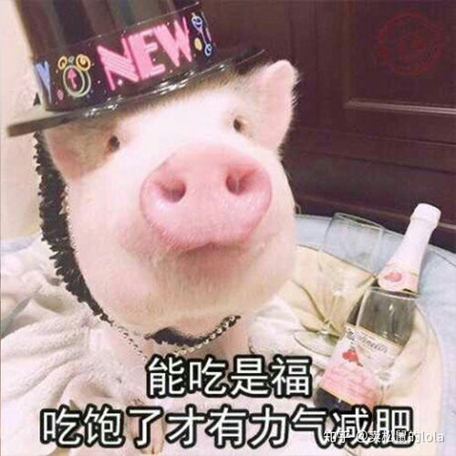 为什么大多数人很喜欢吃鸡肉