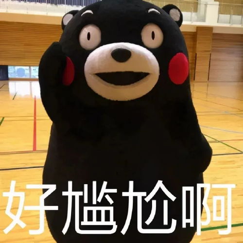 哈哈大笑表情包动图大笑