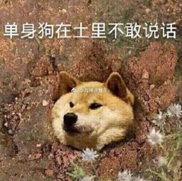 国家终于要分配对象了每日轻松一刻5月18日午间版