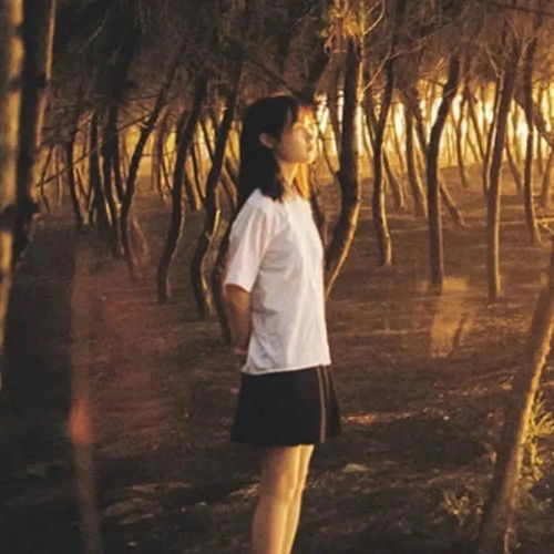 不舍得换的女生头像
