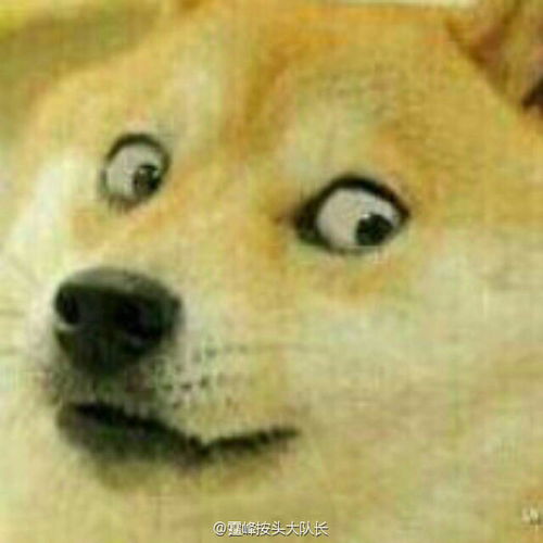doge表情包微博想像