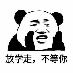 毛毛虫塞包里什么梗毛毛虫塞包里什么意思