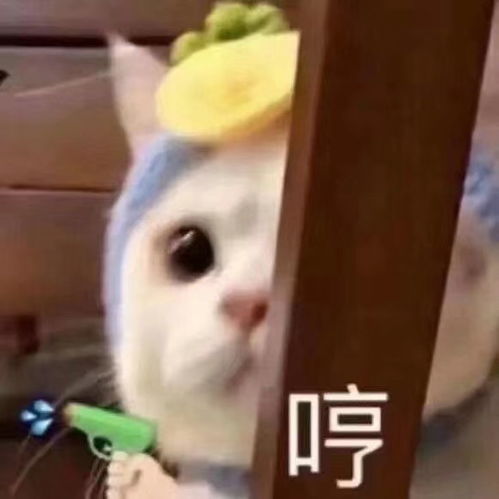 动漫情头是心动的感觉呀