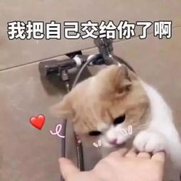 还在说我喜欢你现在流行用表情包表白,躺着也能脱单