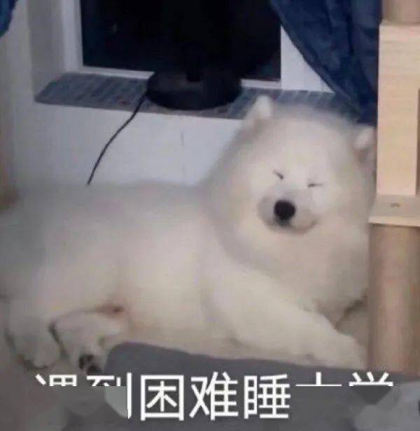 表情包