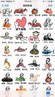 走,我们走再走,皮皮虾要罢工了