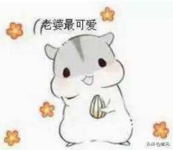 干货求生欲超强的表情包