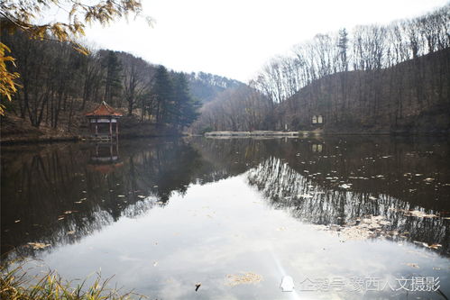 70岁大叔走20分钟小路,偷渡景区卖山货,温水馒头当午饭