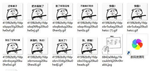 下指表情包衣服
