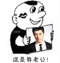 听说合肥学霸们头都急秃了,虐心安徽高考作文再次来袭送上段子手神吐槽