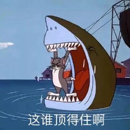 清华都得不到的女人每一个寝室名的背后,都是