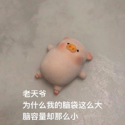 哔哩哔哩专栏