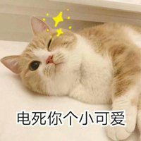 可爱猫咪卖萌表情包微信头像图片大全