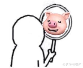 你是什么时候决定整容的