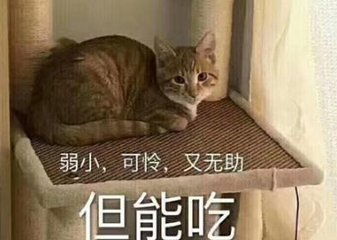 为什么那么容易变胖可能是因为...穷