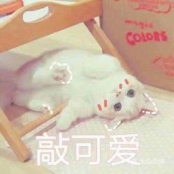 电话地址价格营业时间积玉桥密室团购武汉休闲娱乐